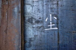 Haikou Highlights: The Best Mandarin Study Programs in Hainan